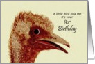 82nd Birthday - Ostrich / Humorous card