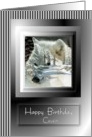 Birthday ~ Cousin ~ White Wolf Faded Into Winter Scene card