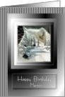 Birthday ~ Mentor ~ White Wolf Faded Into Winter Scene card
