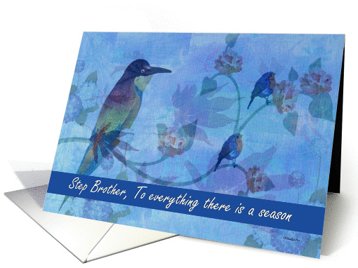To Step Brother - Goodbye From Terminally ill Step Sister... (1142388)