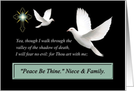 To Niece and Family - Sympathy - Peace Be Thine card