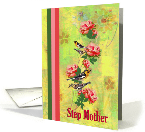 Step Mother - Goodbye From a terminally ill Step Child card (1161474)