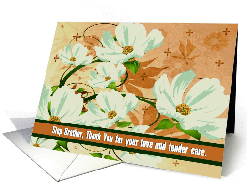 To Step Brother - From a Terminally ill Step Sibling card (1167436)
