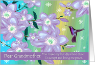 Grandmother - Goodbye from a Terminally ill Adult Grandchild card