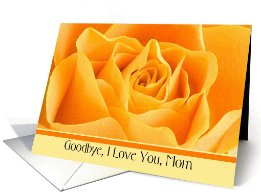 To Mom - Goodbye from a Terminally ill Adult Child card (1171924)