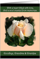To Grandma and Grandpa - Goodbye From a terminally ill Adult Grandchild card