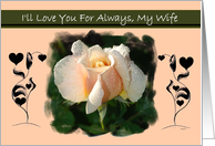 To Wife - Goodbye From a terminally ill Husband card