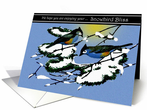 Snowbirds / Thinking of You - Tufted-Titmouse Birds card (1218288)