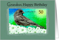 50th / Grandson Birthday - Cassin Finch / Carpodacus cassinii card