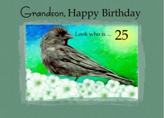 25th / Grandson...