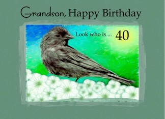 40th / Grandson...