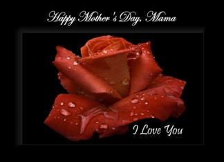 Mama / Happy Mother's Day - Painted Red Rose