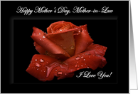 Mother-in-Law / Happy Mother’s Day - Painted Red Rose card