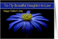 Daughter-in-Law / Happy Mother’s Day - Painted Blue Daisy card