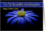 Goddaughter / Happy Mother’s Day - Painted Blue Daisy card