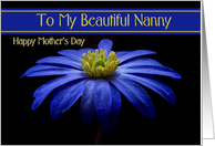 Nanny / Happy Mother’s Day - Painted Blue Daisy card