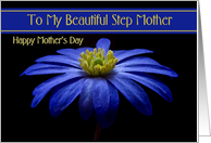 Step Mother / Happy Mother’s Day - Painted Blue Daisy card