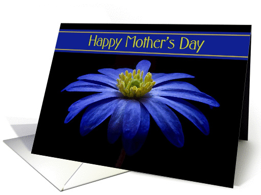 Happy Mother's Day - General - Painted Blue Daisy card (1235474)