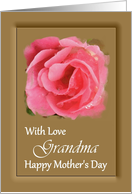 Grandma / Mother’s Day - Painted Pink Rose card