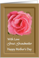 Great Grandmother / Mother’s Day - Painted Pink Rose card