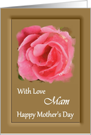 Mam / Mother’s Day - Painted Pink Rose card