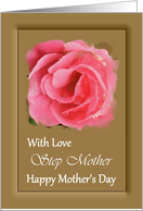 Step Mother / Mother’s Day - Painted Pink Rose card