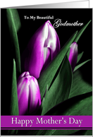 Godmother / Happy Mother’s Day - Painted Purple Tulips card