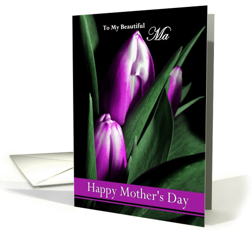 Ma / Happy Mother's Day - Painted Purple Tulips card (1236978)