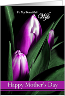Wife / Happy Mother’s Day - Painted Purple Tulips card