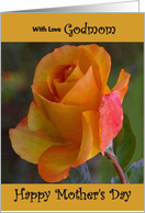 Godmom / Mother’s Day - Yellow Painted Rose card