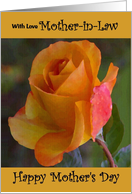 Mother-in-Law / Mother’s Day - Yellow Painted Rose card