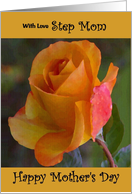 Step Mom / Mother’s Day - Yellow Painted Rose card