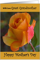 Great Grandmother / Mother’s Day - Yellow Painted Rose card