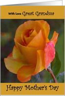 Great Grandma / Mother’s Day - Yellow Painted Rose card