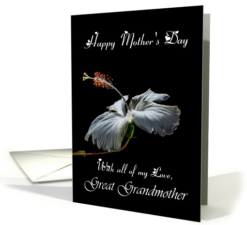 Great Grandmother / Happy Mother's Day - Painted Hibiscus card