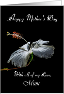 Mum / Happy Mother's...