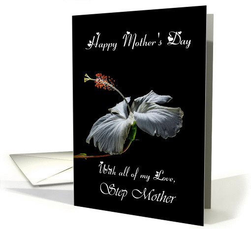 Step Mother / Happy Mother's Day - Painted Hibiscus card (1239340)