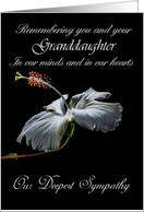 Granddaughter / Our Deepest Sympathy - Painted Hibiscus card