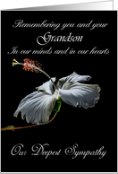 Grandson / Our Deepest Sympathy - Painted Hibiscus card