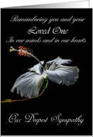 Loved One / General - Our Deepest Sympathy - Painted Hibiscus card