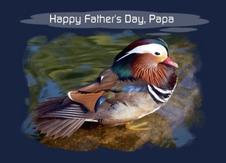 Papa - Happy Father...