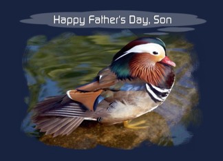 Son - Happy Father's...
