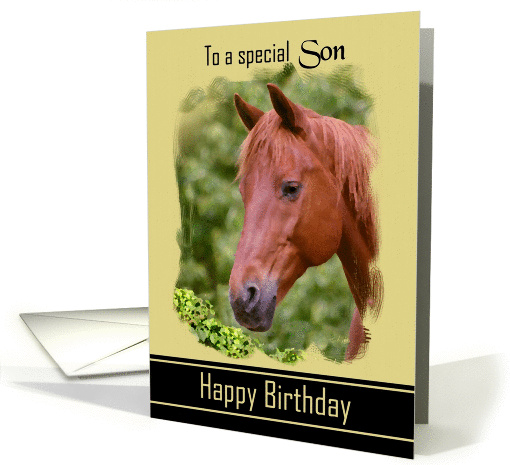 Son Birthday - General - Digital Oil Painted Brown Horse card
