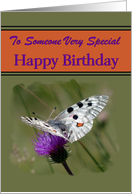 Birthday - General - Apollo Butterfly on a Purple Thistle card