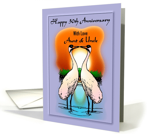 30th Wedding Anniversary / Aunt and Uncle - Cranes at Sunset card