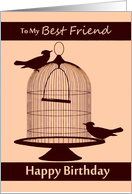 Best Friend / Happy Birthday - Birds Outside of their Cage card