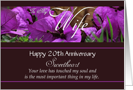 20th Anniversary / To Wife - Bougainvillea Flowers card