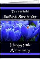 30th Anniversary / To Brother and Sister-in-Law - Vibrant Blue Crocus card