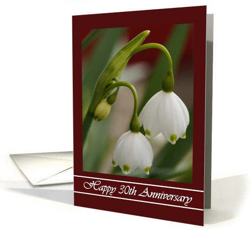 30th Anniversary - General - Snowflake Flowers card (1320220)