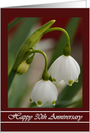 30th Anniversary - General - Snowflake Flowers card